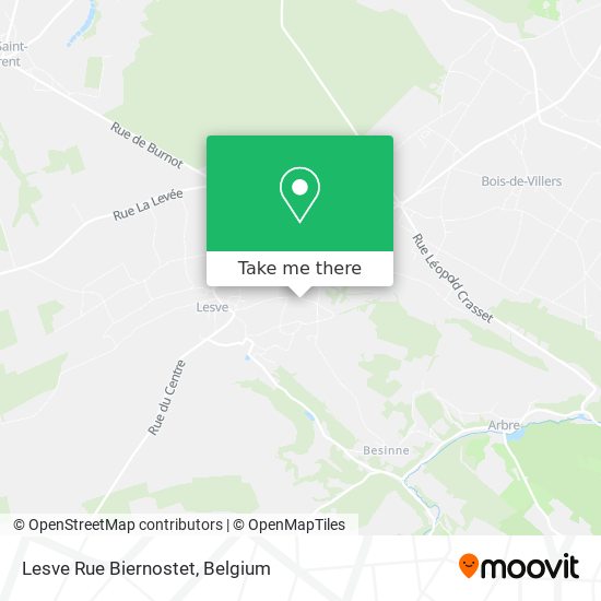 Lesve Rue Biernostet map