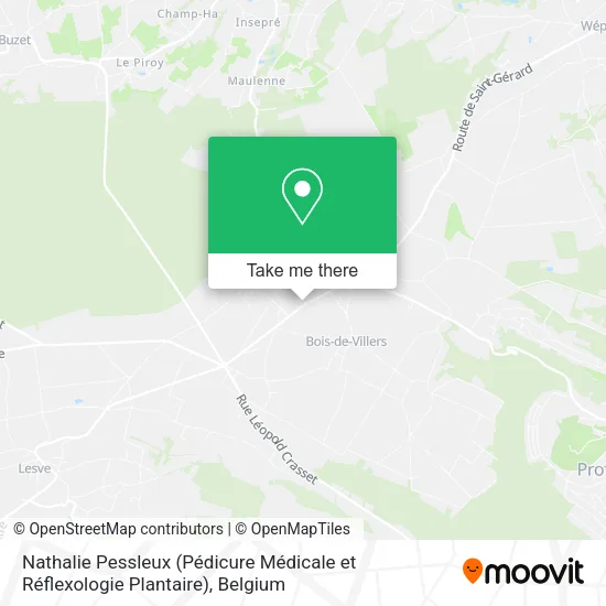 Nathalie Pessleux (Pédicure Médicale et Réflexologie Plantaire) map