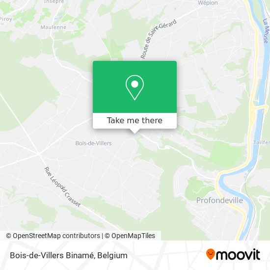 Bois-de-Villers Binamé map