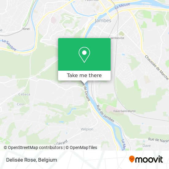Delisée Rose plan