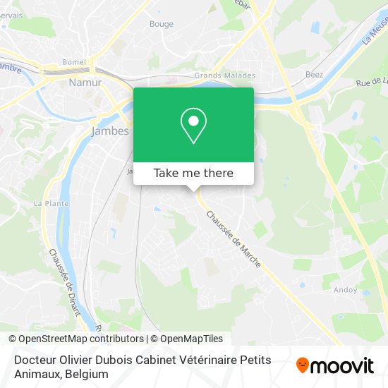 Docteur Olivier Dubois Cabinet Vétérinaire Petits Animaux plan