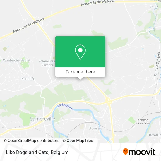 Like Dogs and Cats map