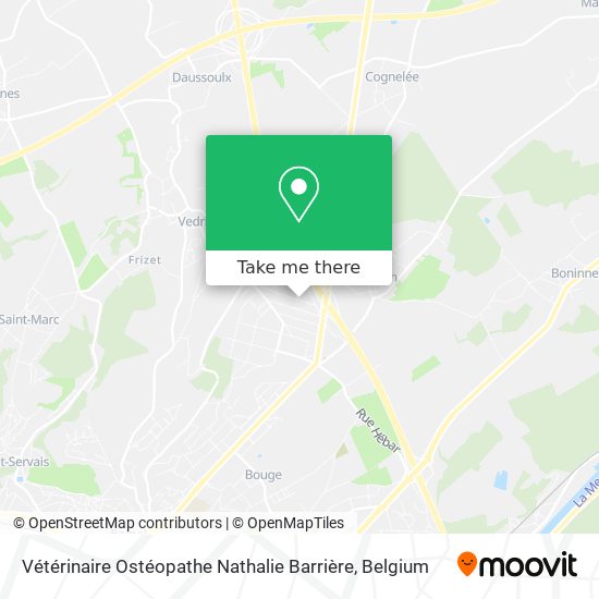 Vétérinaire Ostéopathe Nathalie Barrière plan