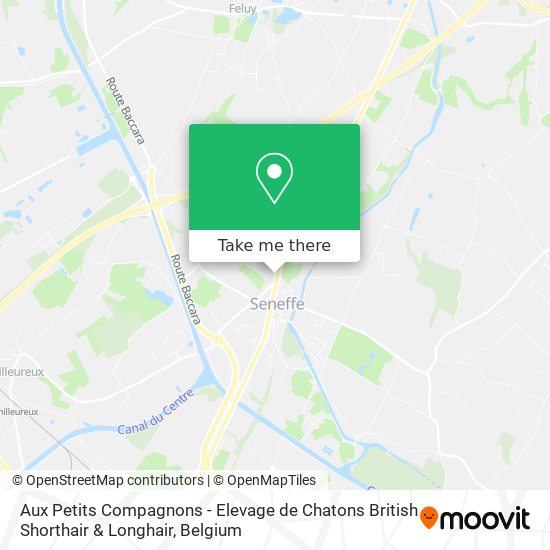 Aux Petits Compagnons - Elevage de Chatons British Shorthair & Longhair map