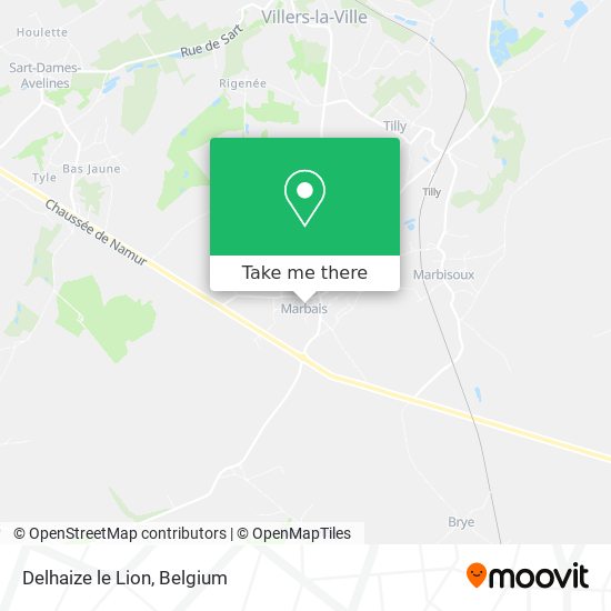 Delhaize le Lion map