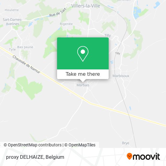 proxy DELHAIZE map