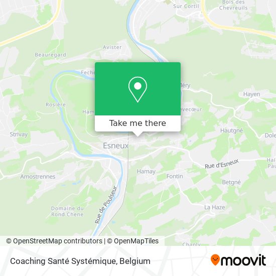 Coaching Santé Systémique map