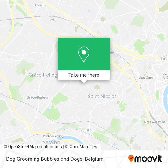 Dog Grooming Bubbles and Dogs map