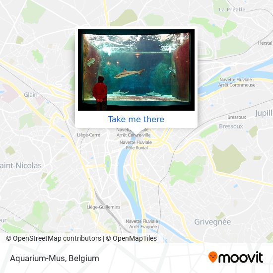 Aquarium-Mus map