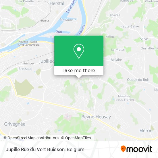 Jupille Rue du Vert Buisson map