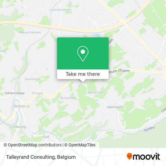 Talleyrand Consulting plan