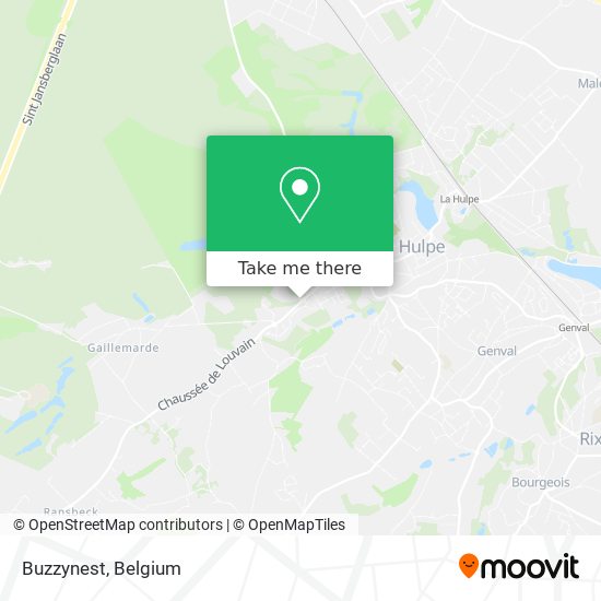 Buzzynest map