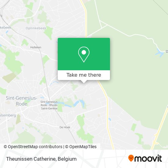 Theunissen Catherine plan