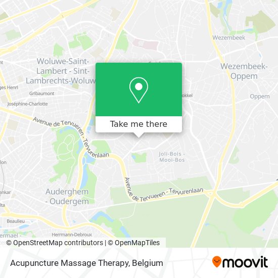 Acupuncture Massage Therapy plan