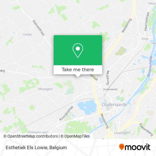 Esthetiek Els Lowie plan