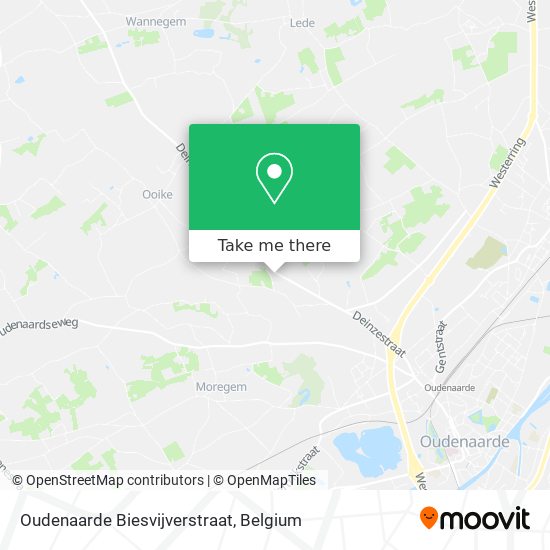 Oudenaarde Biesvijverstraat plan