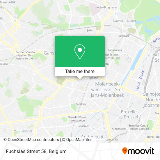 Fuchsias Street 58 map