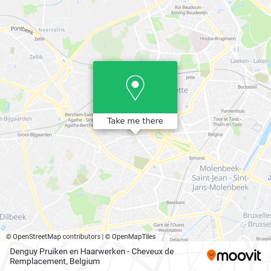 Denguy Pruiken en Haarwerken - Cheveux de Remplacement plan