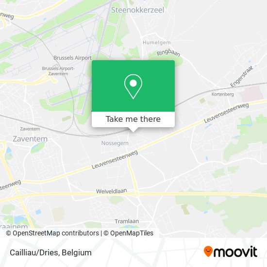 Cailliau/Dries map
