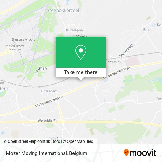 Mozer Moving International map