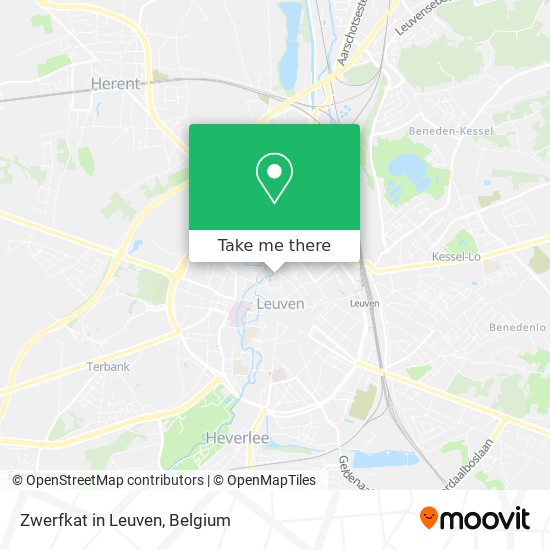 Zwerfkat in Leuven map