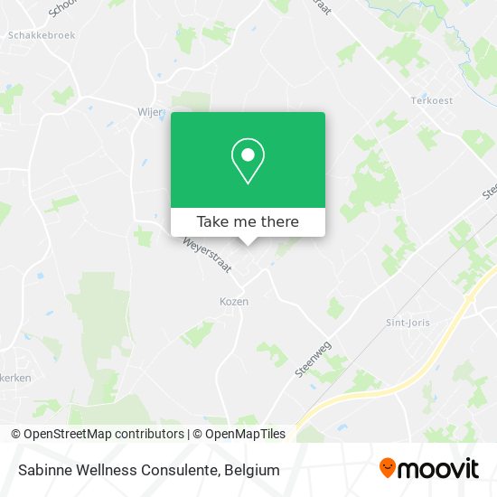 Sabinne Wellness Consulente map