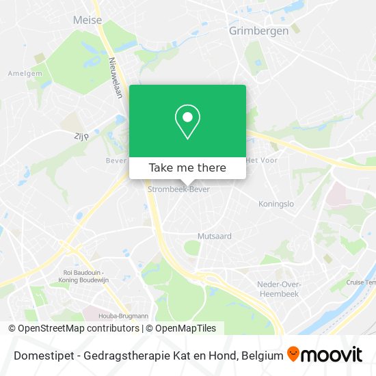 Domestipet - Gedragstherapie Kat en Hond map