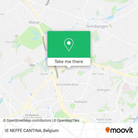 IE NEFFE CANTINA plan