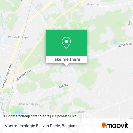 Voetreflexologie Els van Daele plan