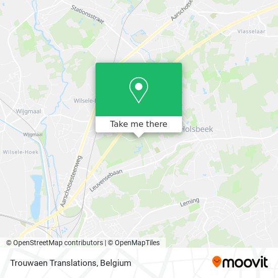 Trouwaen Translations plan