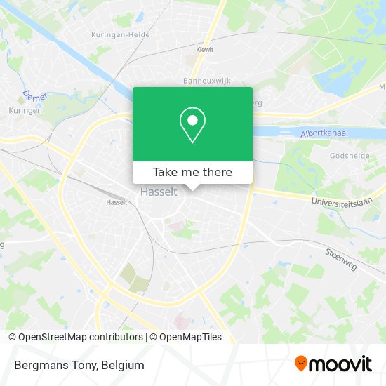 Bergmans Tony map