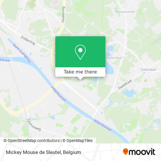 Mickey Mouse de Sleutel plan