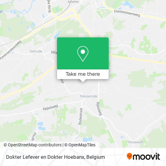 Dokter Lefever en Dokter Hoebanx plan