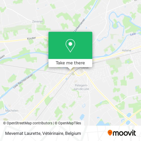 Mevemat Laurette, Vétérinaire plan