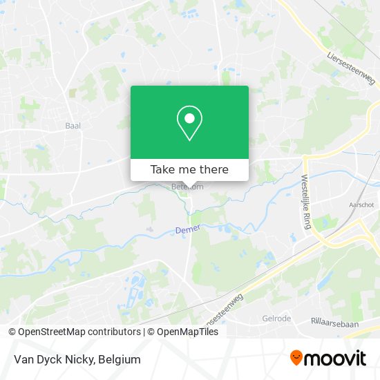 Van Dyck Nicky map