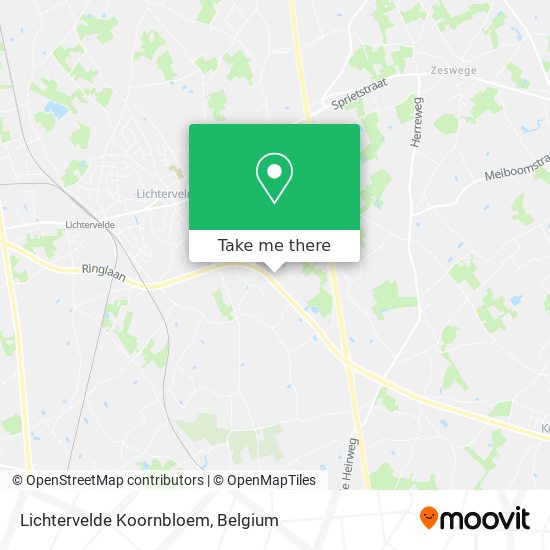 Lichtervelde Koornbloem plan