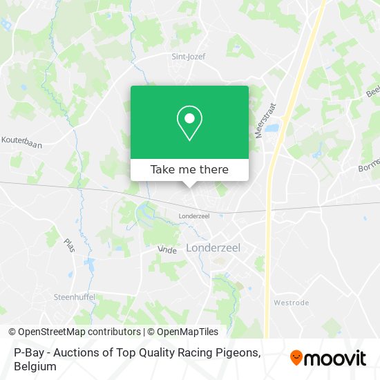 P-Bay - Auctions of Top Quality Racing Pigeons map