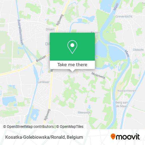 Kosatka-Golebiowska/Ronald plan