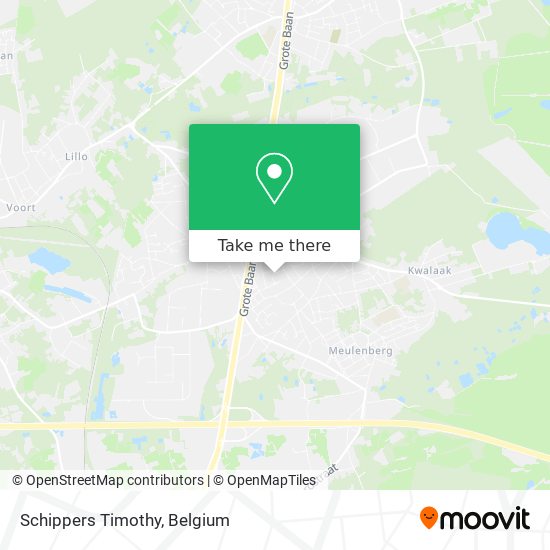 Schippers Timothy plan