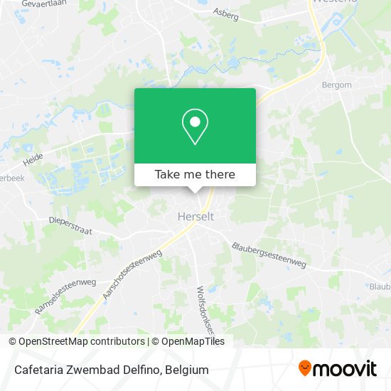 Cafetaria Zwembad Delfino map