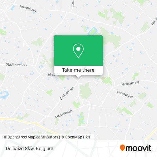 Delhaize Skw map