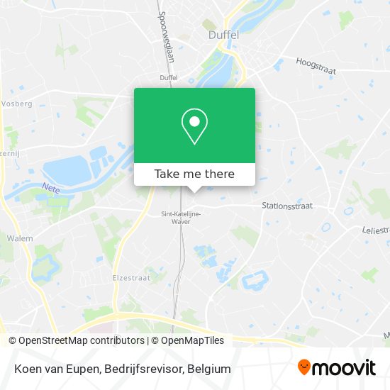 Koen van Eupen, Bedrijfsrevisor map