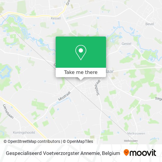 Gespecialiseerd Voetverzorgster Annemie plan