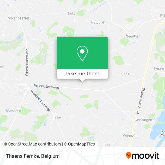 Thaens Femke map