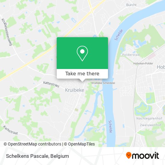 Schelkens Pascale plan