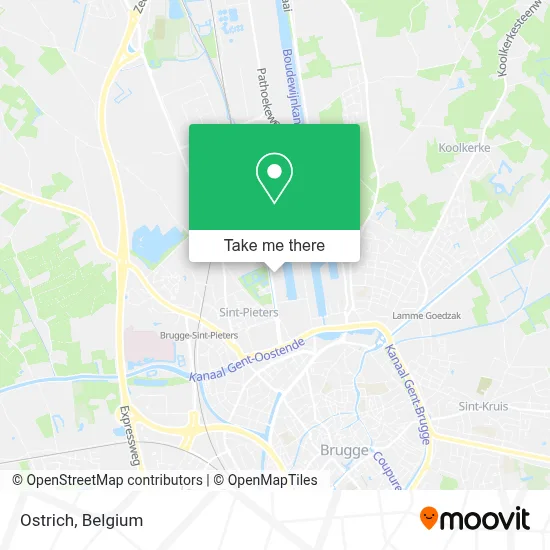 Ostrich map