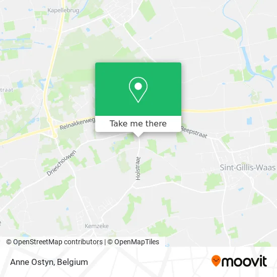 Anne Ostyn plan