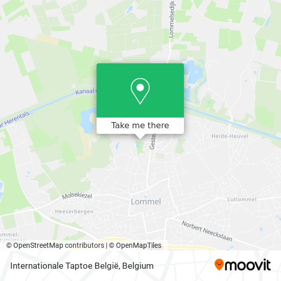 Internationale Taptoe België plan
