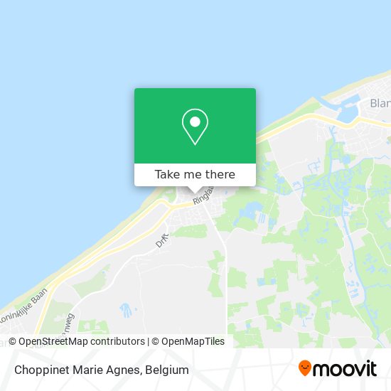 Choppinet Marie Agnes map