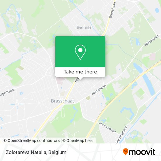 Zolotareva Natalia plan